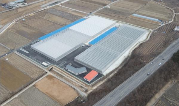 '봉화군 임대형 스마트팜, '일회성 교육' 넘어 '평생 정착' 위한 사후관리 로드맵 본격 가동'